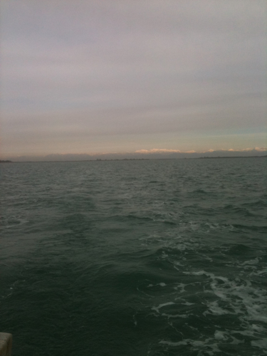 mobileimage.jpg